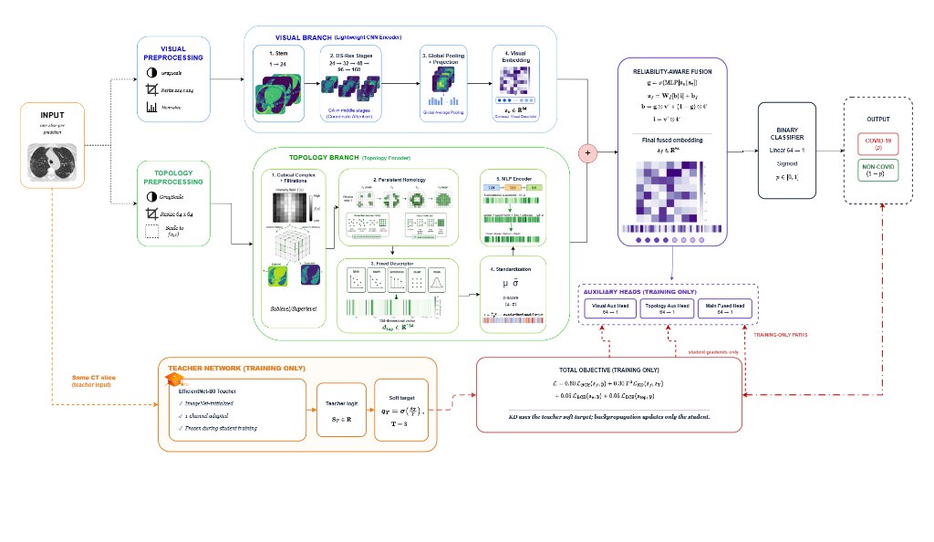 TopoLite-KD pipeline architecture — visual branch, topology branch, reliability-aware fusion and teacher network